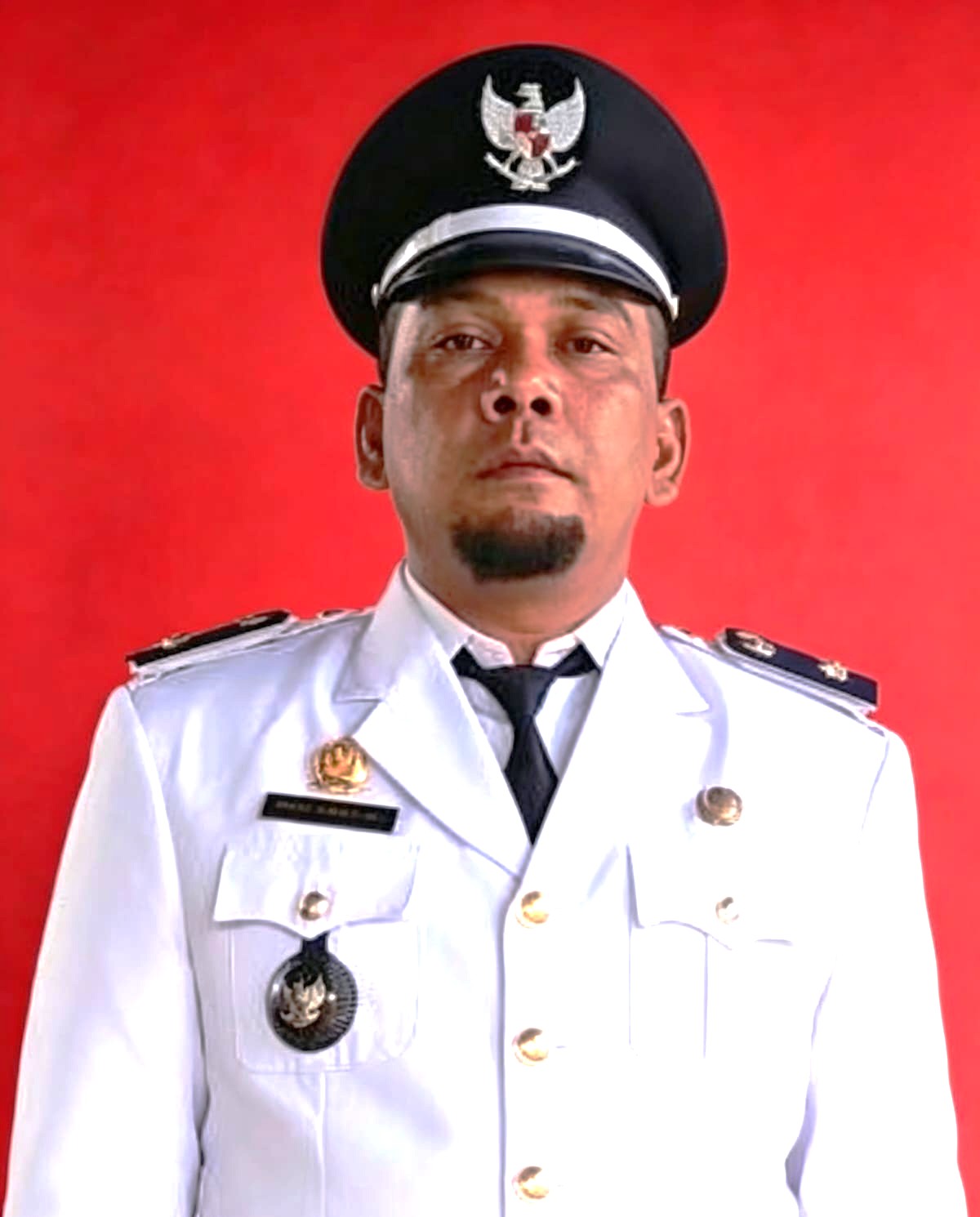Kepala Desa